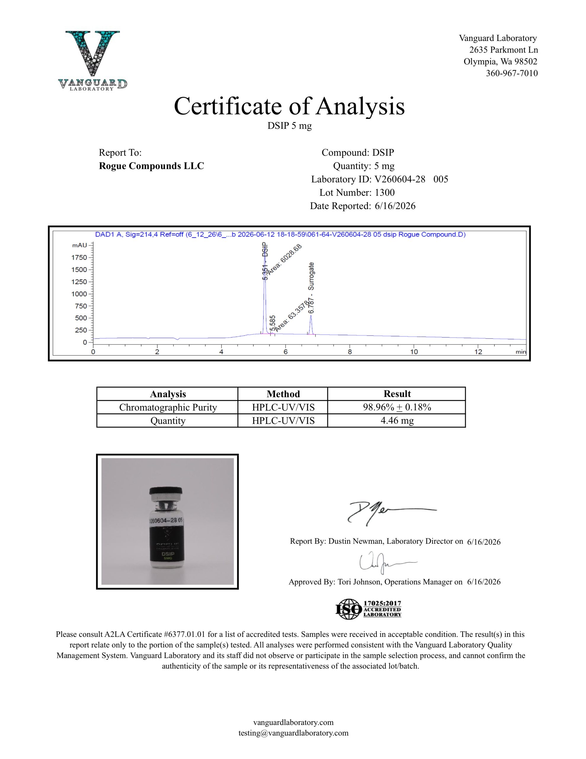 DSIP - Image 2