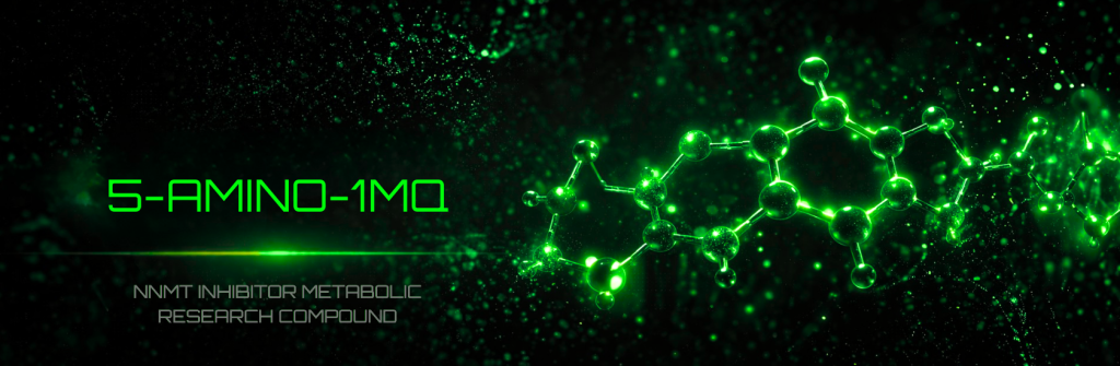 5-Amino-1mq Research Image